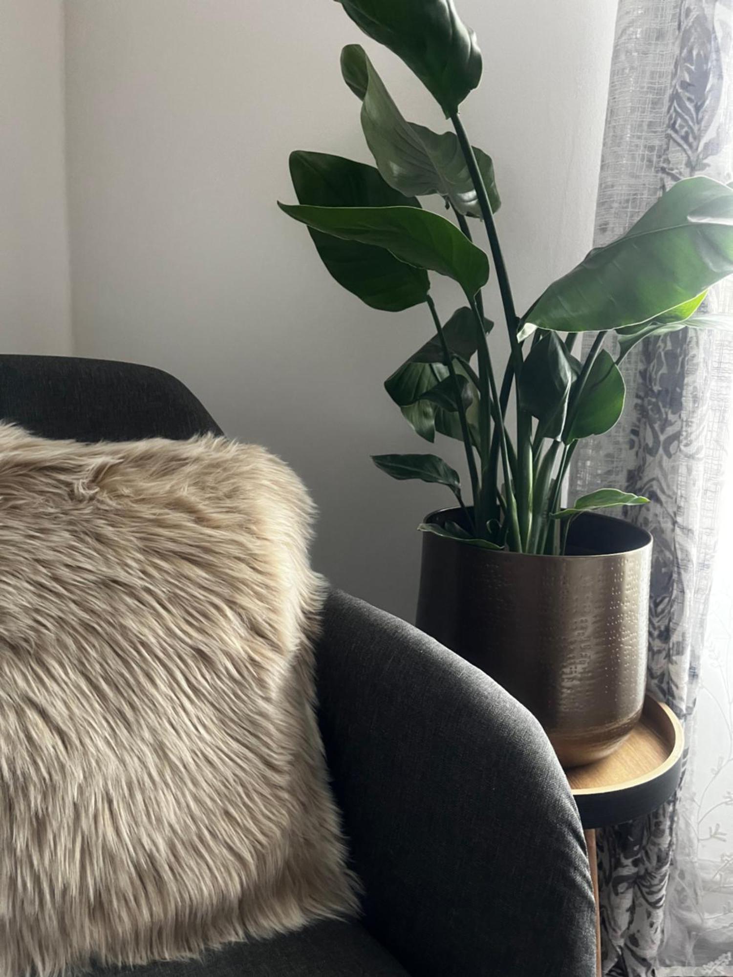 Oparno 38 Lägenhet Exteriör bild